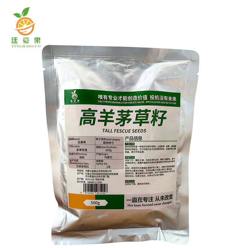 廷豪果 高羊茅草籽 绿化草坪种子 500g/袋高清大图