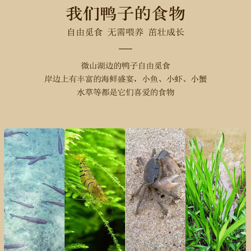 树恋树恋咸鸭蛋家用简装 20枚