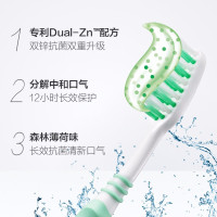 高露洁牙膏360系列修复牙粙质长效清新全面护理口腔牙膏护龈清爽薄荷长效清新120g 2只