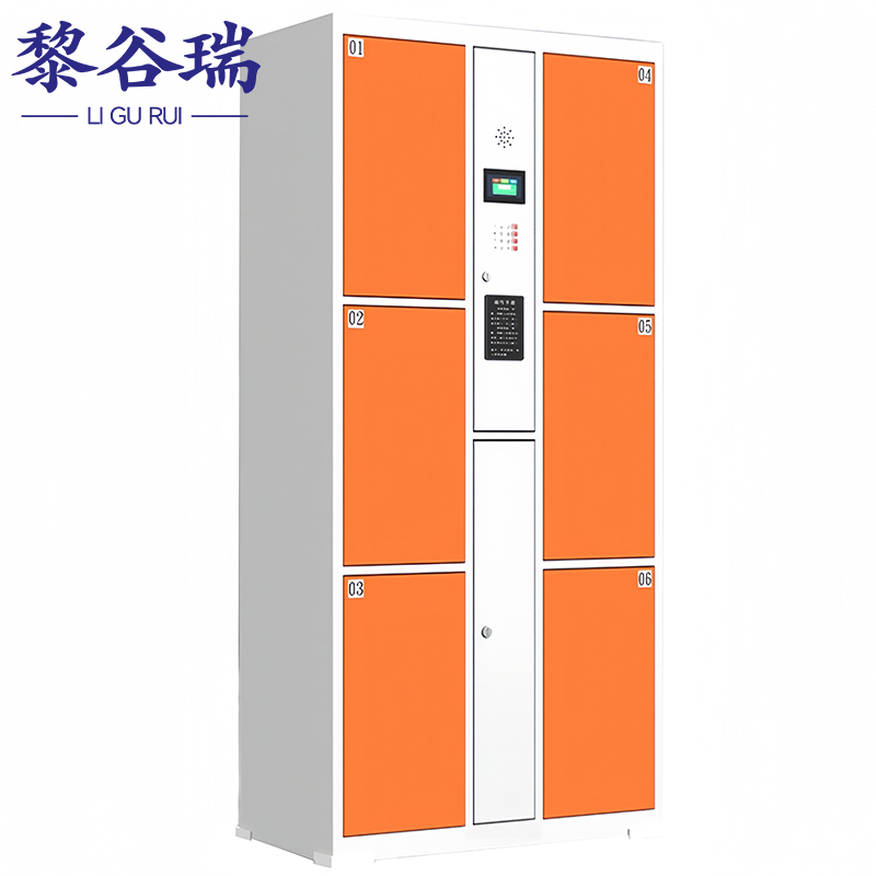黎谷瑞智能寄存柜 寄存柜6门密码台