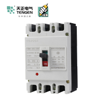 天正电气 TGM1-250 50KA 热磁式250A 3P 手动 固定式400VAC 01040076297塑壳断路器