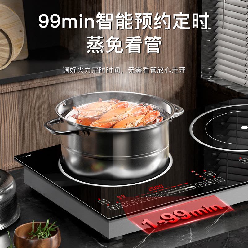 [铜电双头]德鲁纳(DELUNA)嵌入式电磁炉双灶4800W猛火大功率纯电电磁灶家用镶嵌式台式电池炉图片