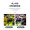 沃韦朗蛋白棉120克袋装VL007 沃韦朗蛋白棉水族鱼缸专用净水宝过滤净水器去除黄水滤材小包网袋