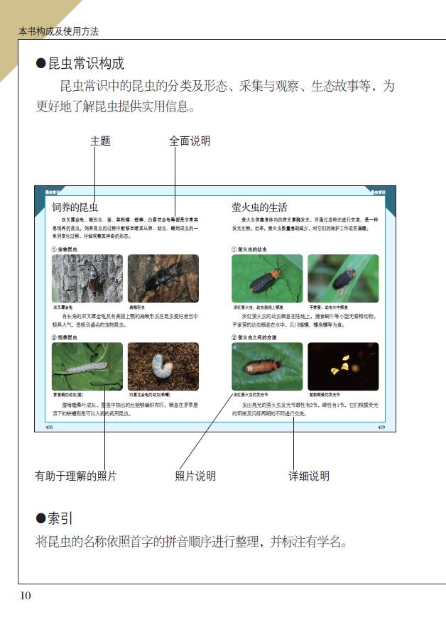 [醉染正版]正版 昆虫识别图鉴 1004种昆虫1600多张高清照片自然百科知识读物全书科普书韩永植动物昆虫图鉴识别辨高清大图