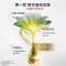 欧莱雅(LOREAL)臻萃精华油染发霜 5.17 清霜冷棕(植萃精华油 无氨水遮盖白发 花香型)