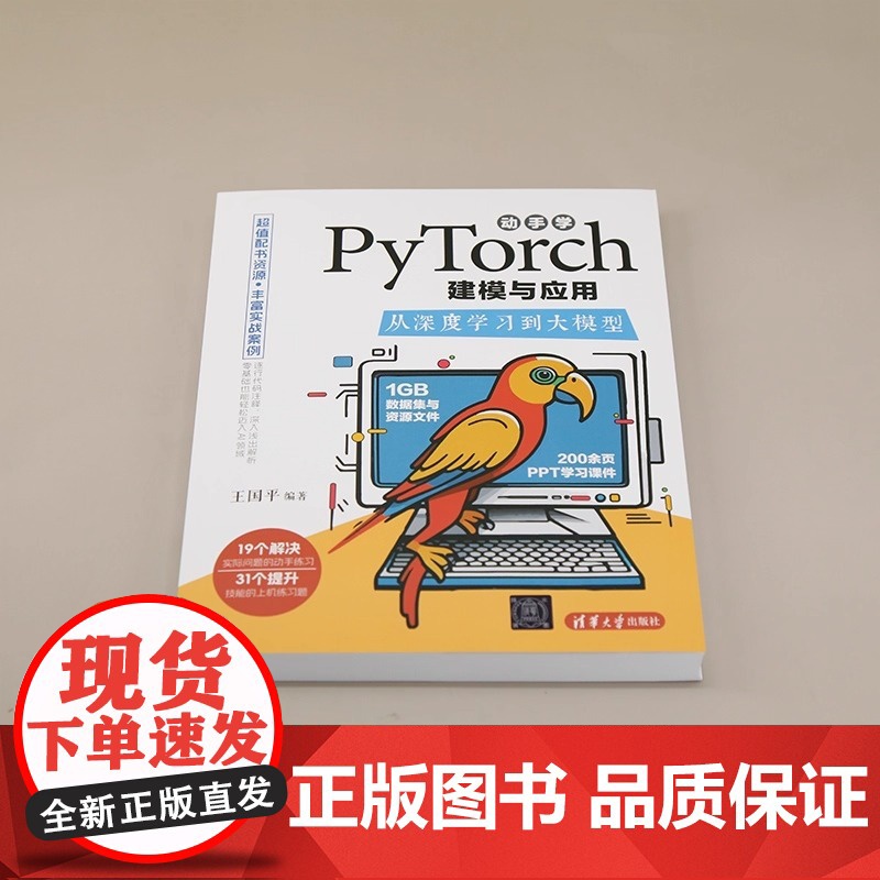 动手学PyTorch建模与应用 从深度学习到大模型 王国平 清华大学出版社 PyTorch 深度学习 神经网络 大模型高清大图