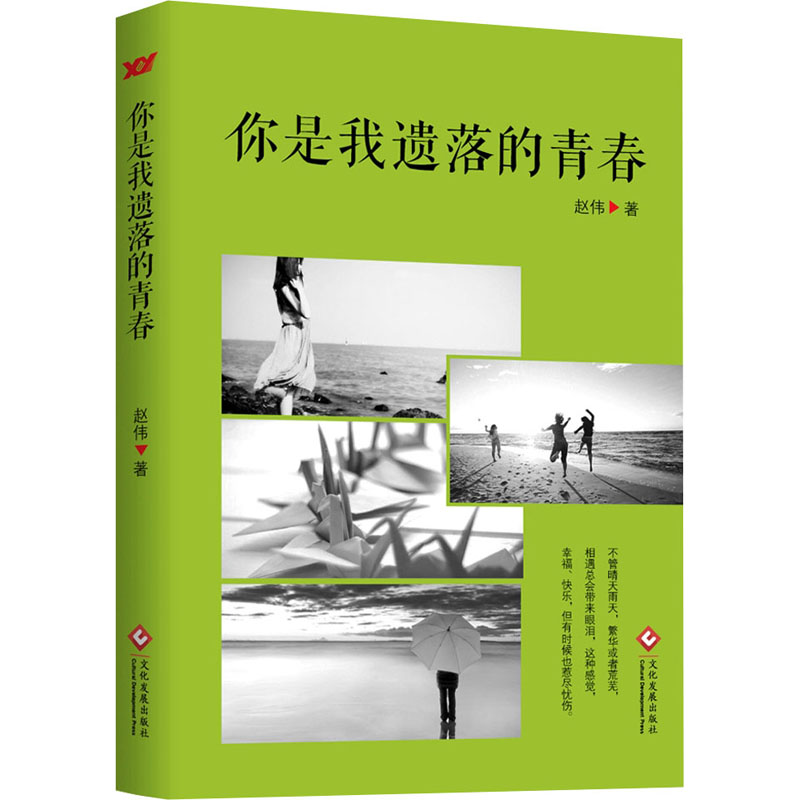 正版新书】你是我遗落的青春赵伟 著9787514229363