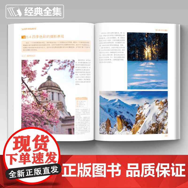 [2本]摄影基础教程+摄影的艺术 数码单反手机摄影书 人物风景静物艺术旅行婚礼摄影构图取景光线后期处理摄影学院级入门自学高清大图