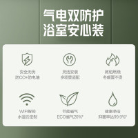 万和 二级能效 12升平衡式燃气热水器天然气恒温 可装浴室 主动防CO中毒 ECO节能JSG24-WE3W12