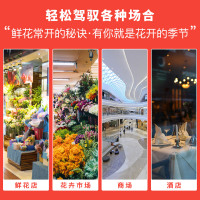 雪村XC-800SL 鲜花柜 商用展示柜