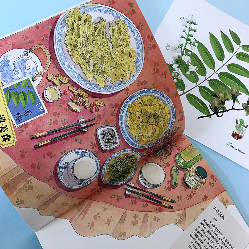 [醉染正版]中国植物很高兴认识你 儿童植物百科全书全图鉴大全趣味科普读物关于植物的绘本少儿大百科全套4册科普类书籍小学三高清大图