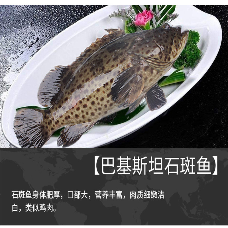 统牌精品海鲜礼盒aa级波士顿龙虾石斑鱼对虾鳕鱼大黄鱼大鲳鱼乌参生鲜荟萃全球美食单盒价b2b商品报价 参数 图片 视频 怎么样 问答 苏宁易购