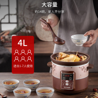 天际DGD40-40AZWD电炖炖锅紫砂内胆单胆煲汤锅煮粥神器电砂锅炖锅家用全自动智能预约定时养生电炖盅4L适用3-5人