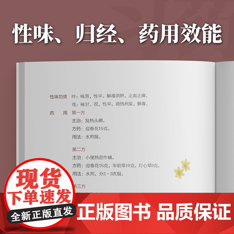 花时可期:二十四节气花卉药食图册 广东科技出版社高清大图