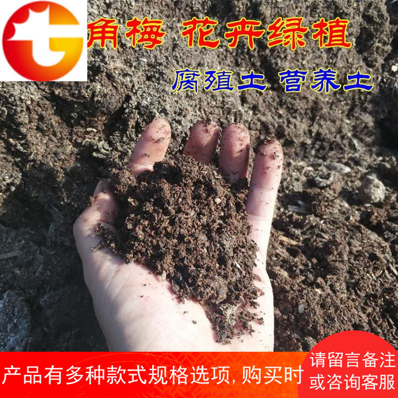 三角梅花卉百合花长寿花土种球专用盆栽土腐殖土壤复合肥料
