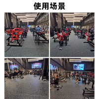 探仕狼 家用动感单车健身车家用脚踏车室内运动自行车锻炼健身器材 P0264