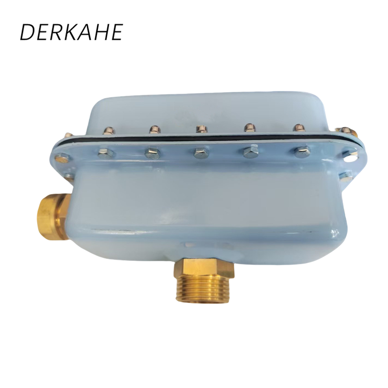 DERKAHE 排气阀 ZPF-0.6A型 DN20 个