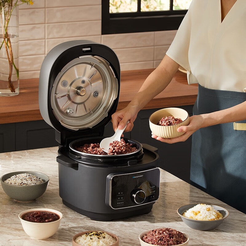 蓝宝(BLAUPUNKT) 蓝宝电压力锅电饭煲家用3L全自动排气小型低温分子料理 石岩灰 3L