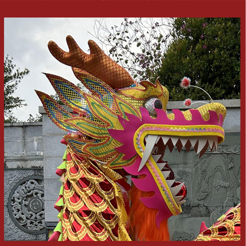 智美环球 舞龙 红色烫金龙牛津布3号国标5节整套高清大图