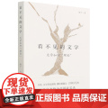 看不见的文学(文学如何理论)