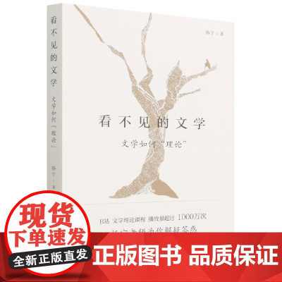 看不见的文学(文学如何理论)