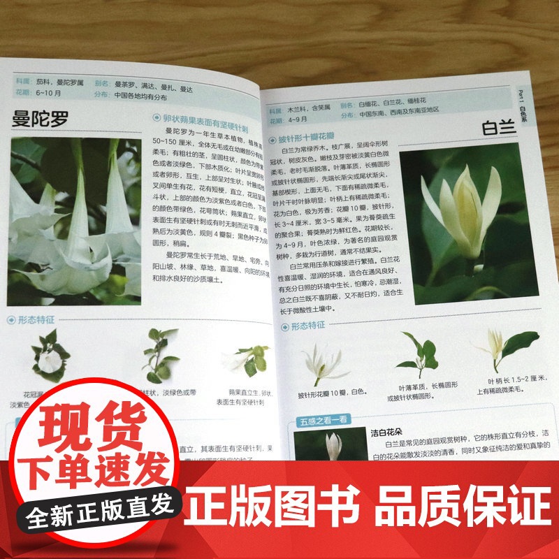 209种常见花草图鉴/家庭种花养花鉴赏图鉴认识常见花草植物花卉书籍花草时光一花一世界一草一天堂身边花草树木速查图鉴书籍高清大图