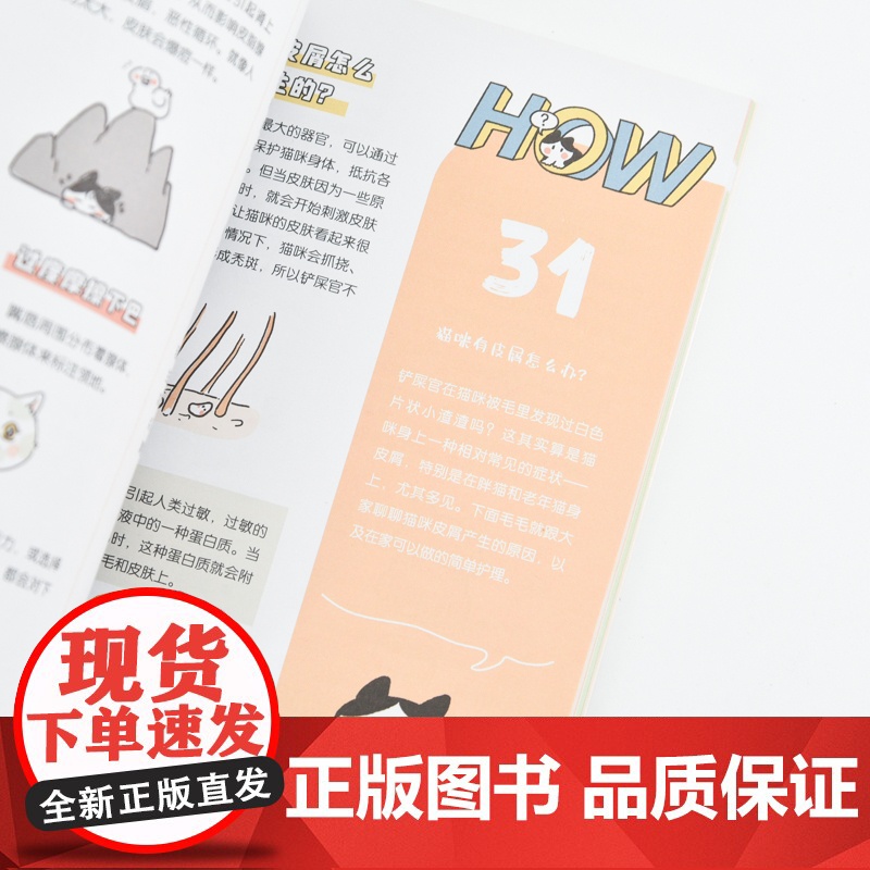 天大地大猫咪为大:漫画图解猫咪养护 李小孩儿有毛UMao猫咪科普漫画养猫手册猫咪书籍高清大图