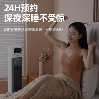 先锋(SINGFUN)石墨烯暖风机取暖器家用PTC陶瓷发热电暖气一秒速热直流电机低噪电暖器DNF-YY2R