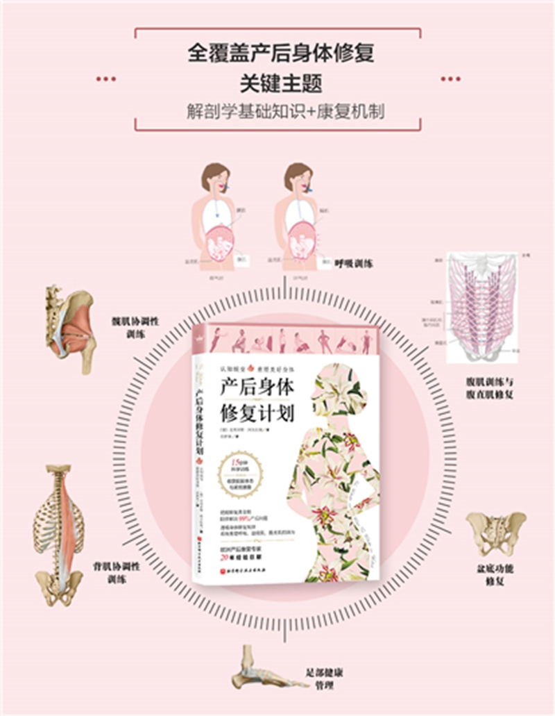 产后身体修复计划:认知蜕变,重塑美好身体。15分钟科学训练,收获挺拔体态与紧致腰腹高清大图
