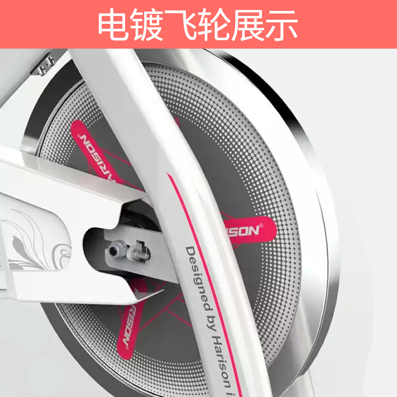 健芬欣 亚新鸿(SWORDMAN) 动感单车 CM-123D-B 智能静音健身车