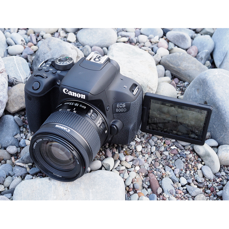 佳能(Canon)EOS 800D 数码单反相机 APS-C画幅单机+18-55mm STM镜头