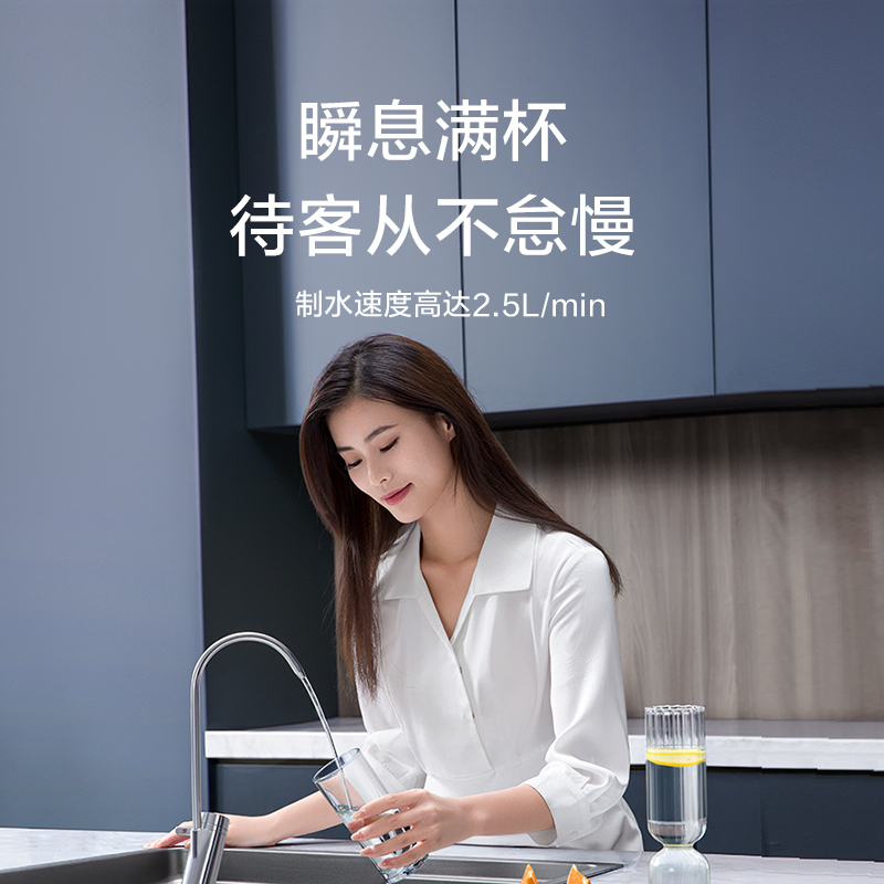 史密斯(A.O.SMITH)牌R2500AB2型反渗透净水机