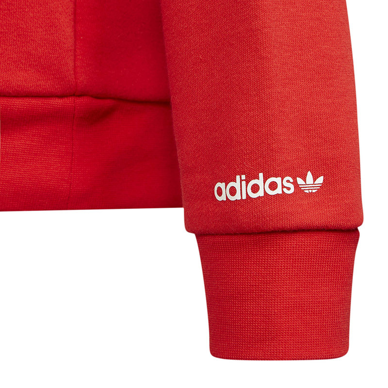 adidas 阿迪达斯三叶草男女大童秋季经典连帽运动卫衣 H32399