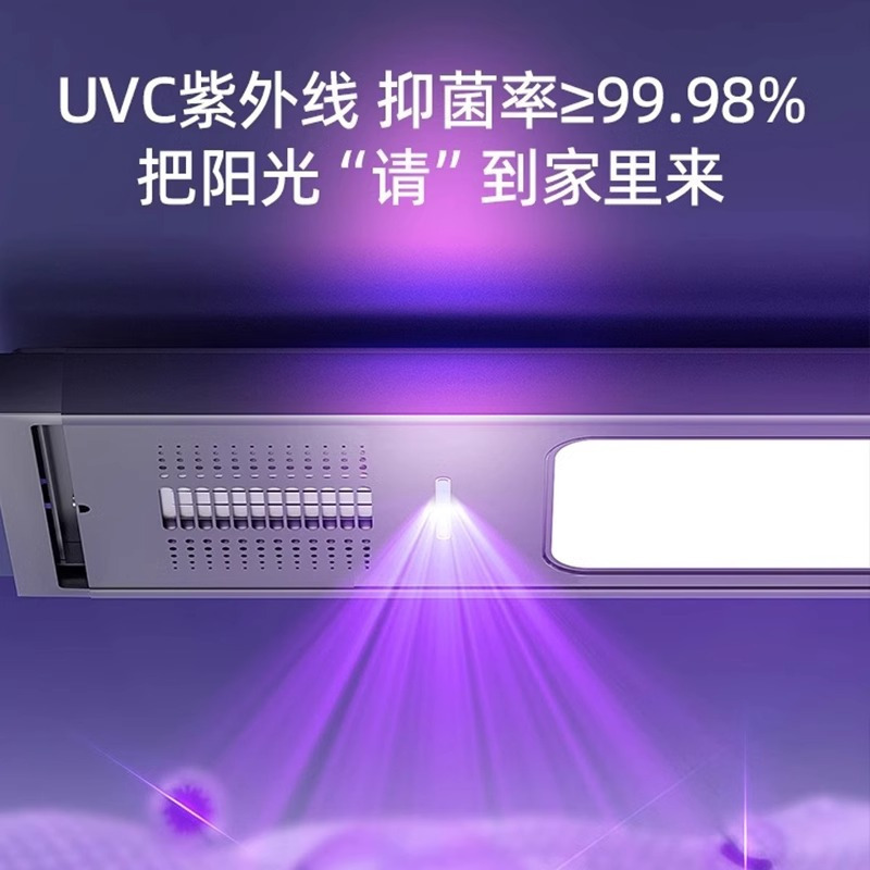 新品推荐13