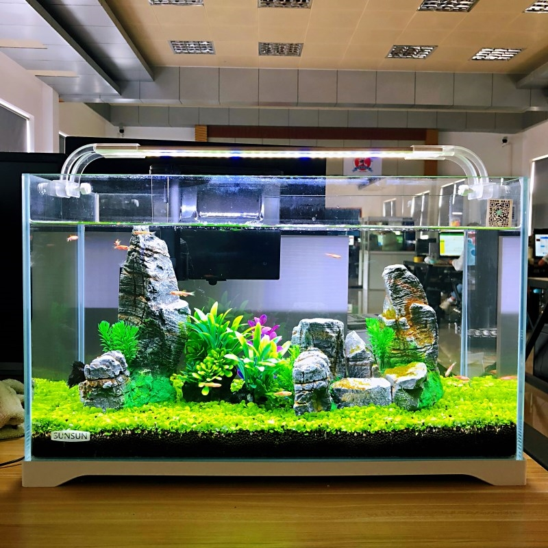 金鱼缸小型水族箱超白玻璃客厅生态水草缸米妮乌龟缸裸缸造景草缸报价 参数 图片 视频 怎么样 问答 苏宁易购