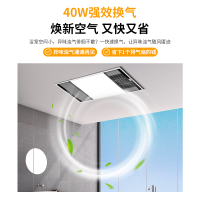 雷士照明多功能风暖浴霸集成吊顶超薄取暖浴室排气集吊双核卫生间