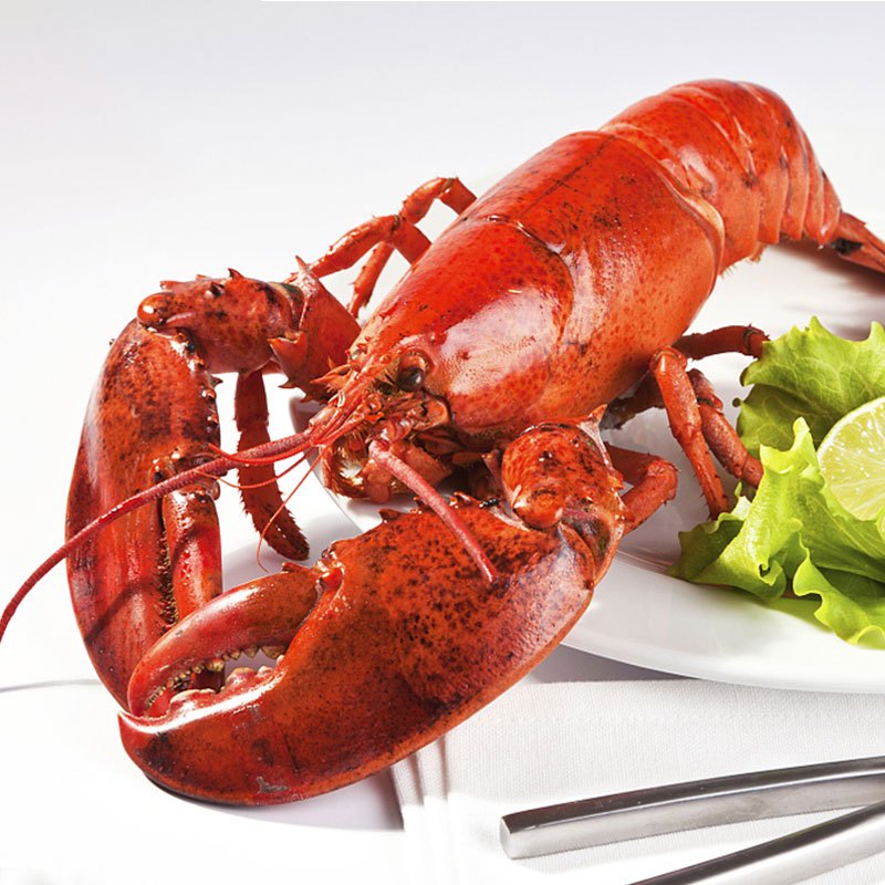 [春节礼盒]千渔旺 海鲜礼盒大礼包海鲜食材4150g(含波龙、鲍鱼等14种环球海鲜食材)团购送礼 海鲜水产