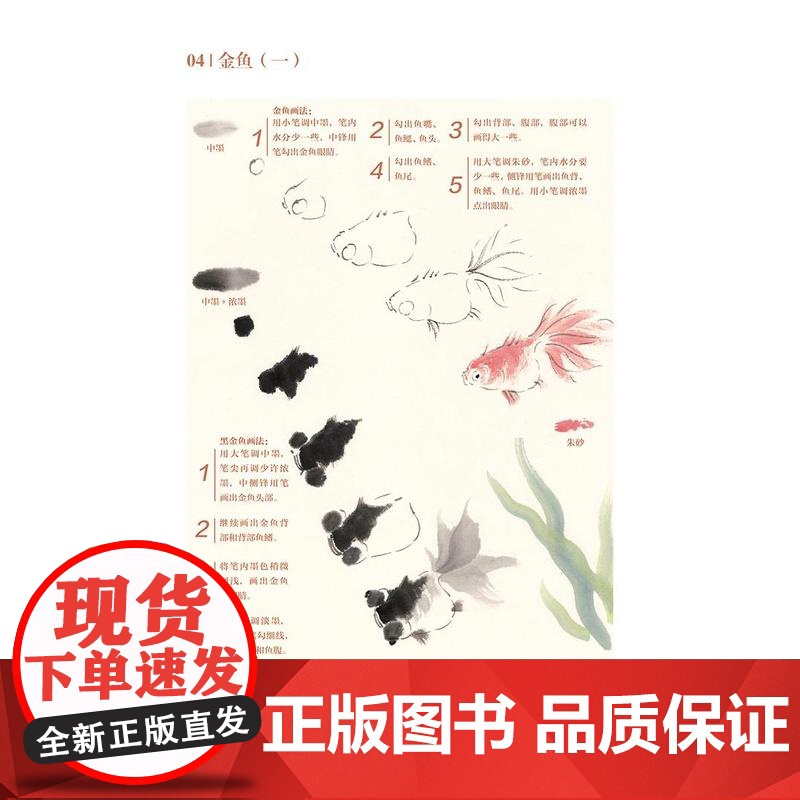 [视频教学]万物有灵 每日一画禽鸟册 小写意花鸟教程鹦鹉 山雀 国画花鸟技法自学入门基础教学 花鸟写意临摹画册高清大图