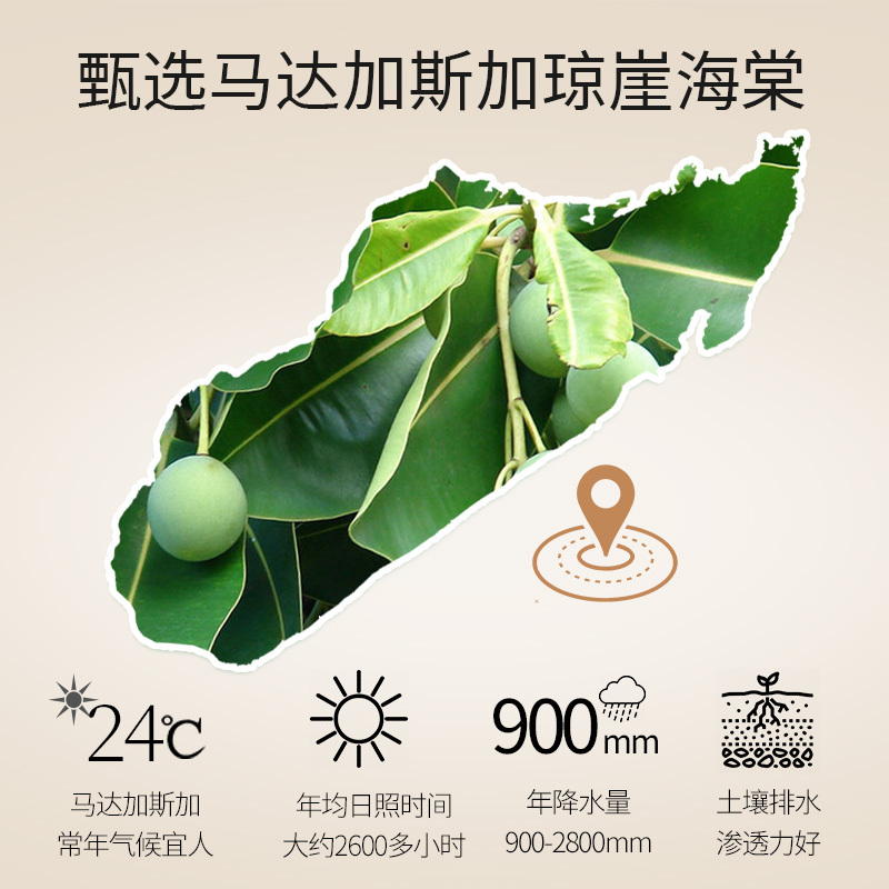 花叶果 [基础油系列]琼崖海棠油30ml 祛痘淡化痘印疤痕妊娠 纹唤醒肌肤活力、温和修护肌肤