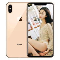 【正品行货】苹果(Apple) iPhone XS Max 64GB 金色 移动联通电信4G手机 双卡双待 iPhoneXS Max手机