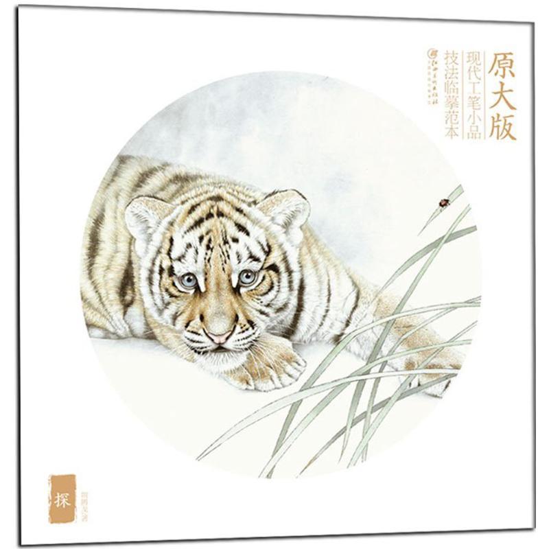 探 荆腾龙 著 艺术 文轩网