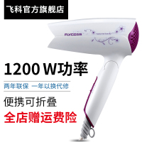 飞科电吹风机FH6257 家用小功率1200W 冷热风 学生宿舍 吹风筒便携式 迷你 旅游 寝室 可折叠式 电吹风