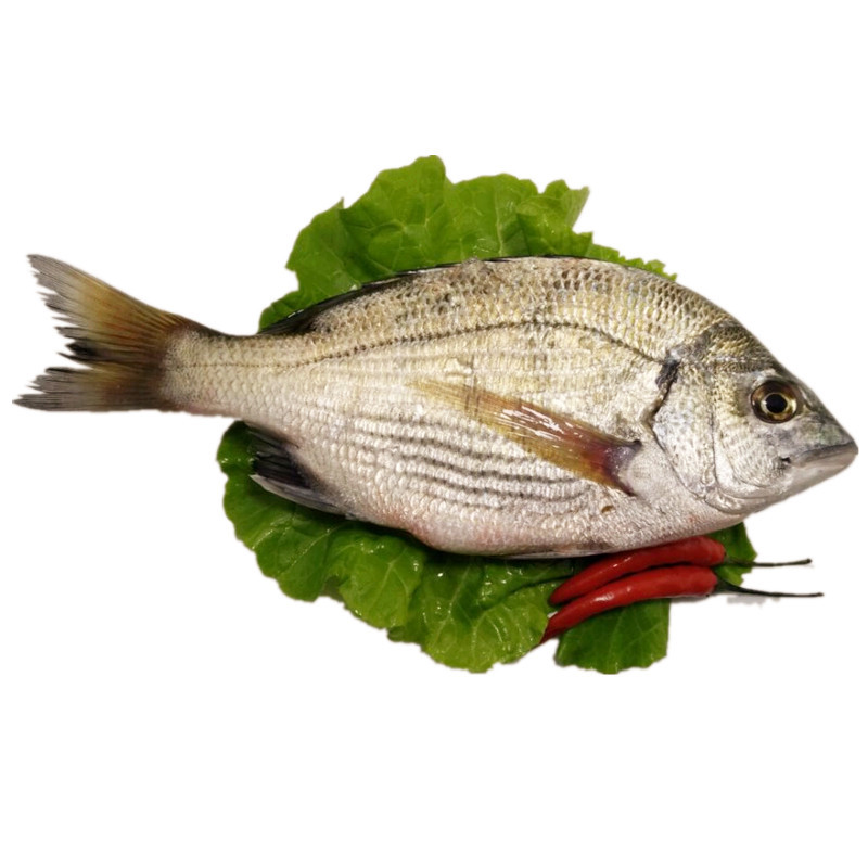 万里鲜东海新鲜冰鲜海鲫鱼海鱼1kg28条海鲜水产