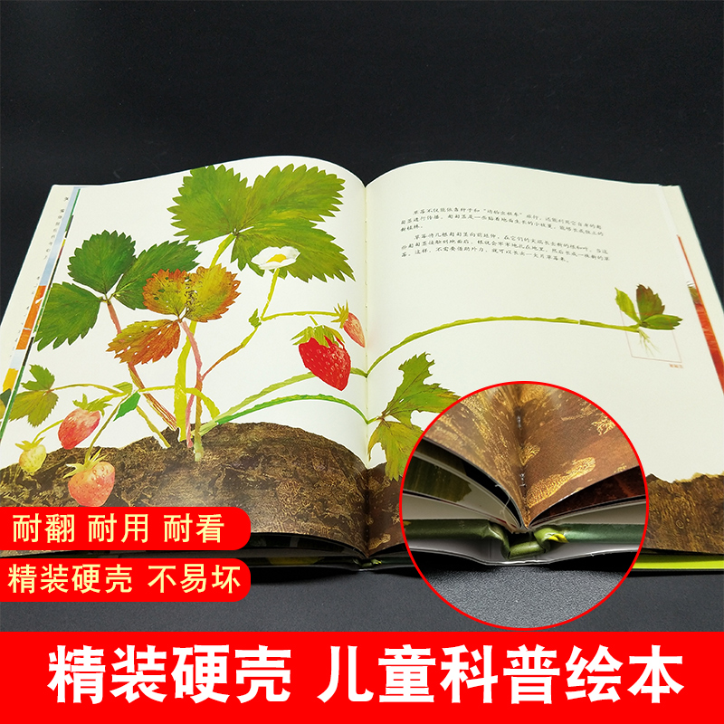 我的野生动物朋友(全新完整版) [正版]一粒种子的旅行绘本 7-12岁小学生课外阅读书籍青少年儿童文学儿童精装故事爱心树高清大图