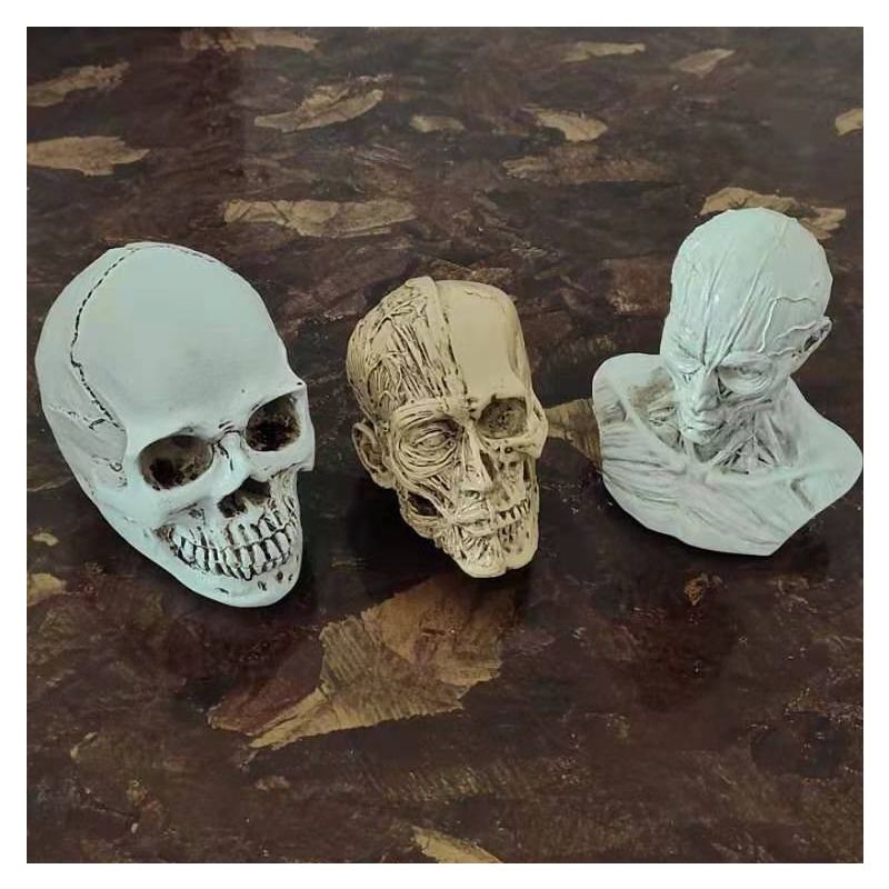 人体头部结构模型仿小头骨树脂骷髅头美术教学艺考素描速写绘画