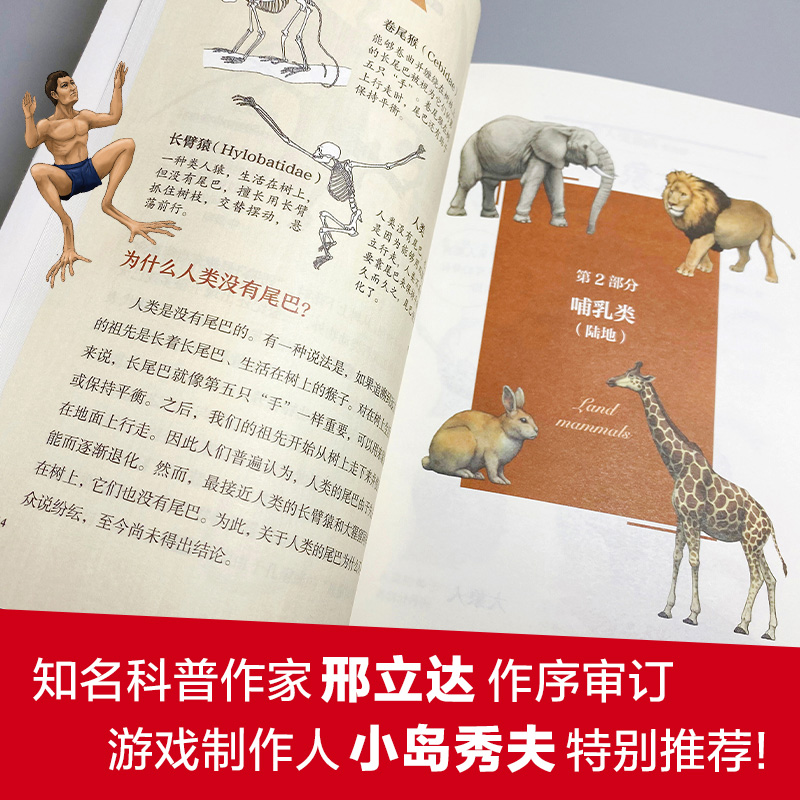 [正版]央视网跟动物交换身体 普通版 无穷小亮 古生物学者川崎悟司的科普神作震撼上市 一本独特的以人体为参照的动物图鉴高清大图