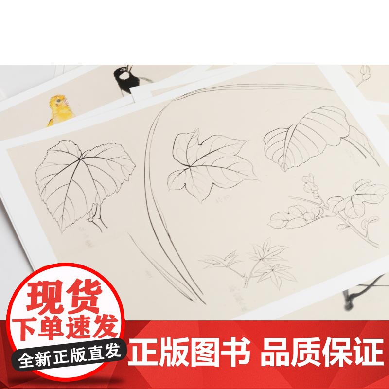 花鸟画谱花卉一 上海中国画院编上海书画出版社高清大图