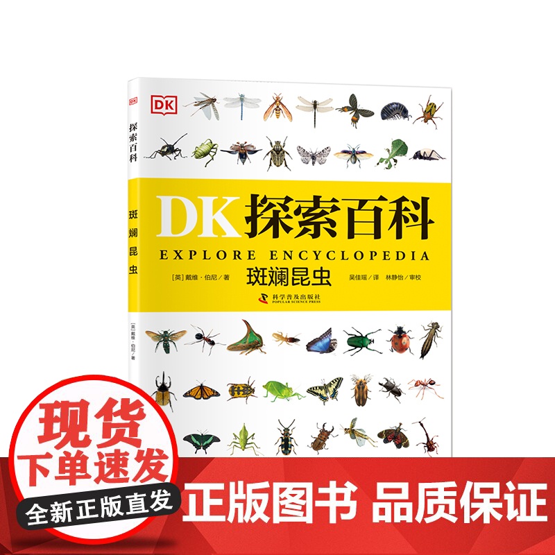 DK探索百科 斑斓昆虫 6~12岁儿童百科全书自然科普书dk探索百科一二三四五六年级小学生课外阅读书新华正版 科学普及出高清大图
