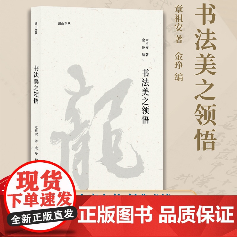 书法美之领悟 湖山艺丛 书法家章祖安谈论书法审美及相关理论问题专集图文并茂语言朴实可读性指导性俱佳领悟书法之美提升书法水高清大图
