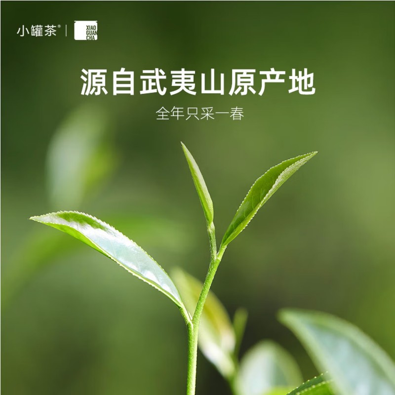 小罐茶 金罐 10罐装 大红袍茶 40g(4g×10罐)高清大图